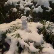 ヒメ日記 2026/02/09 16:48 投稿 優衣 セグレターリオ