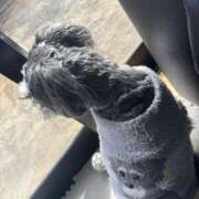 ヒメ日記 2026/02/16 16:43 投稿 優衣 セグレターリオ