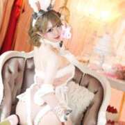 ヒメ日記 2026/02/19 08:15 投稿 優衣 セグレターリオ