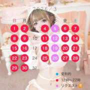 ヒメ日記 2026/02/19 13:39 投稿 優衣 セグレターリオ