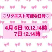 ヒメ日記 2026/03/31 14:01 投稿 優衣 セグレターリオ