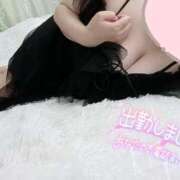 ヒメ日記 2025/05/16 13:24 投稿 心空（ここあ） ビッグバード