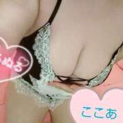 ヒメ日記 2025/05/20 17:58 投稿 心空（ここあ） ビッグバード