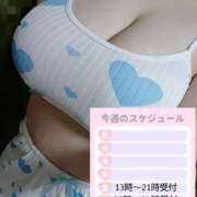 ヒメ日記 2025/05/21 00:25 投稿 心空（ここあ） ビッグバード