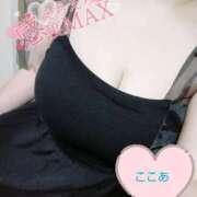 ヒメ日記 2025/05/25 11:24 投稿 心空（ここあ） ビッグバード