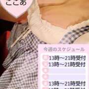 ヒメ日記 2025/05/27 00:34 投稿 心空（ここあ） ビッグバード