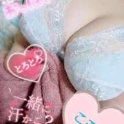 ヒメ日記 2025/06/01 11:14 投稿 心空（ここあ） ビッグバード