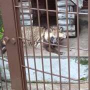 ヒメ日記 2025/06/04 23:14 投稿 心空（ここあ） ビッグバード