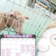 ヒメ日記 2025/06/05 23:54 投稿 心空（ここあ） ビッグバード