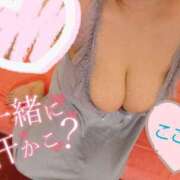 ヒメ日記 2025/06/06 14:44 投稿 心空（ここあ） ビッグバード