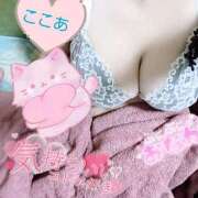 ヒメ日記 2025/06/08 11:46 投稿 心空（ここあ） ビッグバード