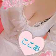 ヒメ日記 2025/06/08 15:04 投稿 心空（ここあ） ビッグバード