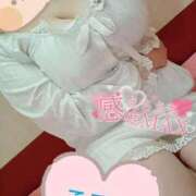 ヒメ日記 2025/06/09 11:44 投稿 心空（ここあ） ビッグバード