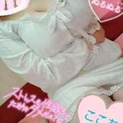 ヒメ日記 2025/06/10 12:05 投稿 心空（ここあ） ビッグバード