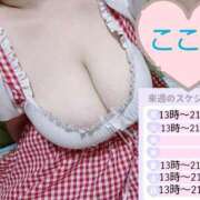 ヒメ日記 2025/06/20 23:56 投稿 心空（ここあ） ビッグバード