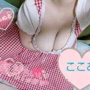 ヒメ日記 2025/06/22 11:54 投稿 心空（ここあ） ビッグバード