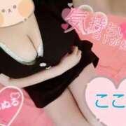 ヒメ日記 2025/06/28 17:24 投稿 心空（ここあ） ビッグバード