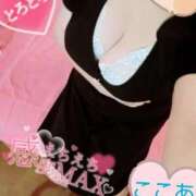 ヒメ日記 2025/06/28 20:24 投稿 心空（ここあ） ビッグバード