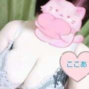 ヒメ日記 2025/06/29 11:04 投稿 心空（ここあ） ビッグバード