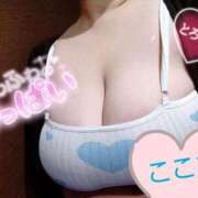 ヒメ日記 2025/07/06 11:24 投稿 心空（ここあ） ビッグバード