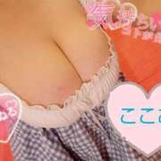 ヒメ日記 2025/07/07 11:16 投稿 心空（ここあ） ビッグバード