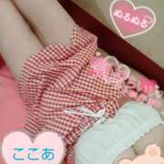 ヒメ日記 2025/07/08 11:14 投稿 心空（ここあ） ビッグバード