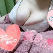 ヒメ日記 2025/07/11 11:34 投稿 心空（ここあ） ビッグバード