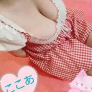 ヒメ日記 2025/07/13 22:44 投稿 心空（ここあ） ビッグバード