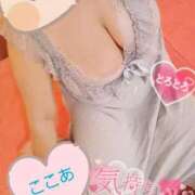 ヒメ日記 2025/07/18 11:44 投稿 心空（ここあ） ビッグバード