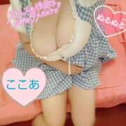 ヒメ日記 2025/07/21 11:44 投稿 心空（ここあ） ビッグバード