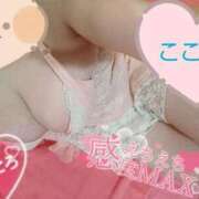 ヒメ日記 2025/08/04 18:34 投稿 心空（ここあ） ビッグバード