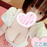 ヒメ日記 2025/08/08 17:04 投稿 心空（ここあ） ビッグバード