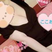 ヒメ日記 2025/08/09 11:47 投稿 心空（ここあ） ビッグバード