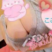 ヒメ日記 2025/08/12 16:24 投稿 心空（ここあ） ビッグバード