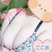 ヒメ日記 2025/08/15 11:34 投稿 心空（ここあ） ビッグバード