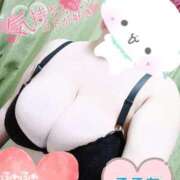 ヒメ日記 2025/08/16 11:44 投稿 心空（ここあ） ビッグバード