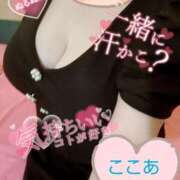 ヒメ日記 2025/08/17 11:49 投稿 心空（ここあ） ビッグバード