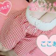 ヒメ日記 2025/08/29 12:05 投稿 心空（ここあ） ビッグバード