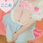 ヒメ日記 2025/09/06 16:24 投稿 心空（ここあ） ビッグバード