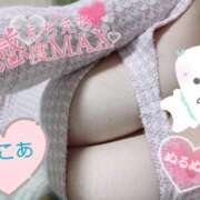 ヒメ日記 2025/11/03 11:44 投稿 心空（ここあ） ビッグバード