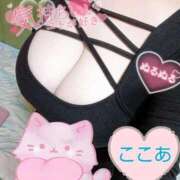 ヒメ日記 2025/11/07 11:34 投稿 心空（ここあ） ビッグバード