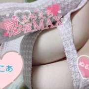 ヒメ日記 2025/11/09 11:34 投稿 心空（ここあ） ビッグバード