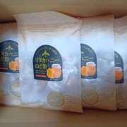 ヒメ日記 2025/11/11 07:44 投稿 心空（ここあ） ビッグバード