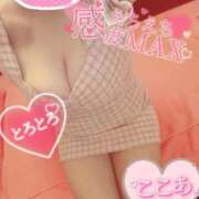 ヒメ日記 2025/11/25 11:34 投稿 心空（ここあ） ビッグバード