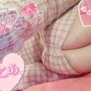 ヒメ日記 2025/11/28 11:34 投稿 心空（ここあ） ビッグバード