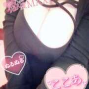 ヒメ日記 2025/12/02 11:24 投稿 心空（ここあ） ビッグバード