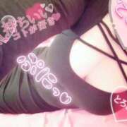 ヒメ日記 2025/12/07 11:32 投稿 心空（ここあ） ビッグバード