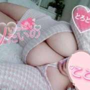 ヒメ日記 2025/12/19 11:48 投稿 心空（ここあ） ビッグバード