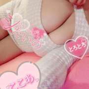 ヒメ日記 2025/12/27 12:04 投稿 心空（ここあ） ビッグバード