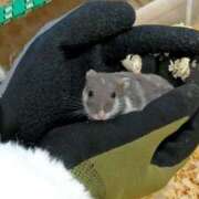 ヒメ日記 2025/12/30 08:24 投稿 心空（ここあ） ビッグバード